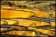 China - Rice terraces Of Yuanyang