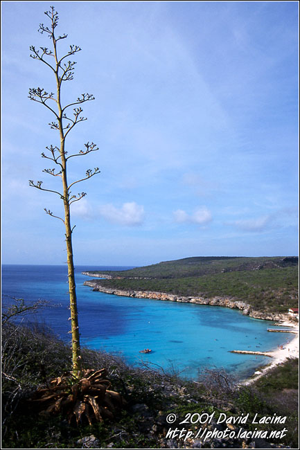 port marie beach - Best Of Curaçao, Curaçao