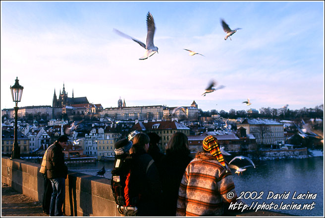 charles bridge - Prague, Czech republic
