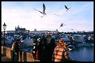 charles bridge, Prague, Czech republic