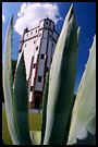 Cactus Castle, Northern Moravia, Czech republic