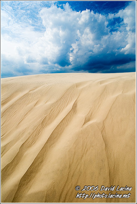 Sand dunes in Råbjerg Mile - Skagen, Denmark