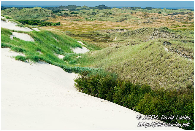 Landscape of Råbjerg Mile - Skagen, Denmark