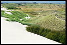 Landscape of Råbjerg Mile, Skagen, Denmark