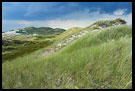 Landscape of Råbjerg Mile, Skagen<br /><b class='black'>new</b>, Denmark