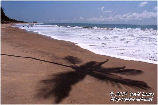Beach Idyl - Breno beach I., Ghana