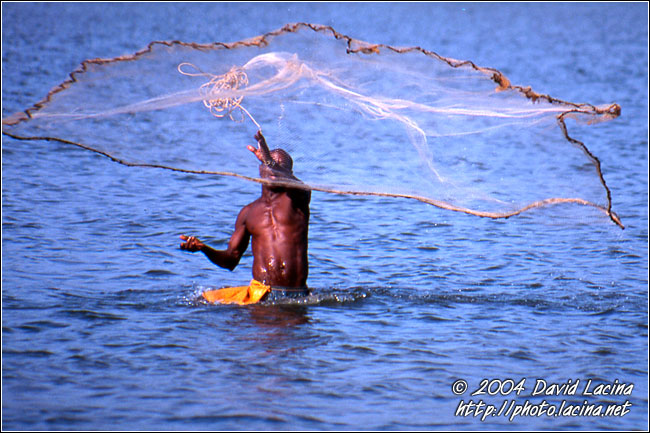 Fisherman At Action - Breno beach I., Ghana
