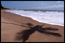 Beach Idyl, Breno beach I., Ghana