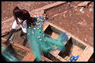 Repairing Nests, Cape Coast, Ghana