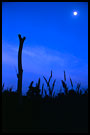 Photos in category Ghana - Lobi tribe