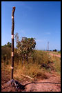Marriage Pole, Lobi tribe, Ghana