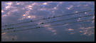 Wires, Birds And Clouds, Panoramas, Ghana