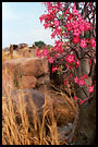 Lost Eden, Talensi land, Ghana