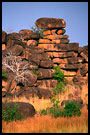Architect? Nature.., Talensi land, Ghana