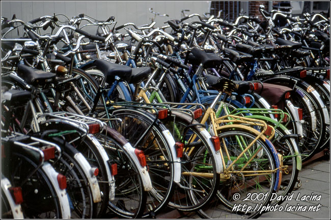 bikes in leiden - Best Of Netherlands, Netherlands