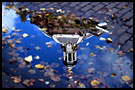 the time stopped, Best Of Netherlands, Netherlands