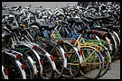 bikes in leiden, Best Of Netherlands, Netherlands