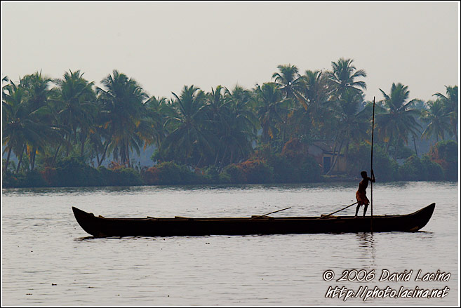 Morning Life On Backwaters - Backwaters, South India