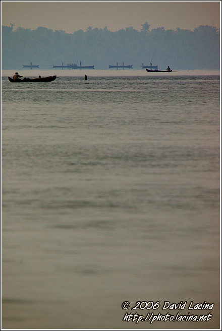 Morning Life On Backwaters - Backwaters, South India