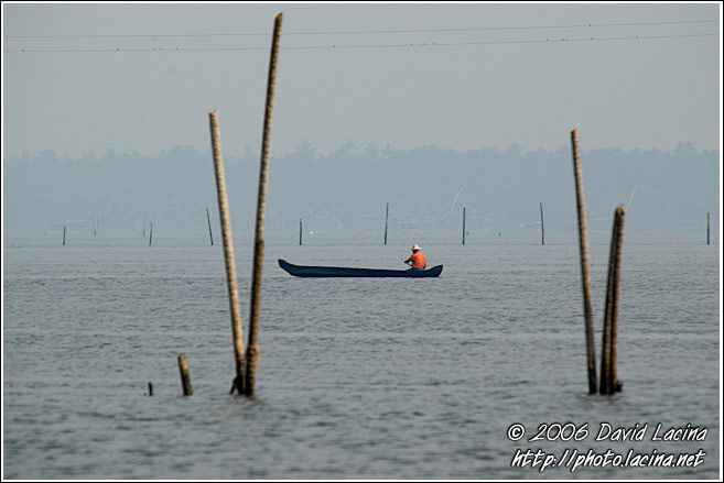 Morning Life On Backwaters - Backwaters, South India