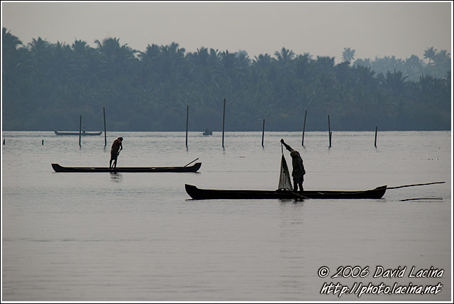 Morning Life On Backwaters - Backwaters, South India