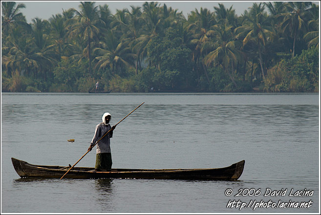 Morning Life On Backwaters - Backwaters, South India