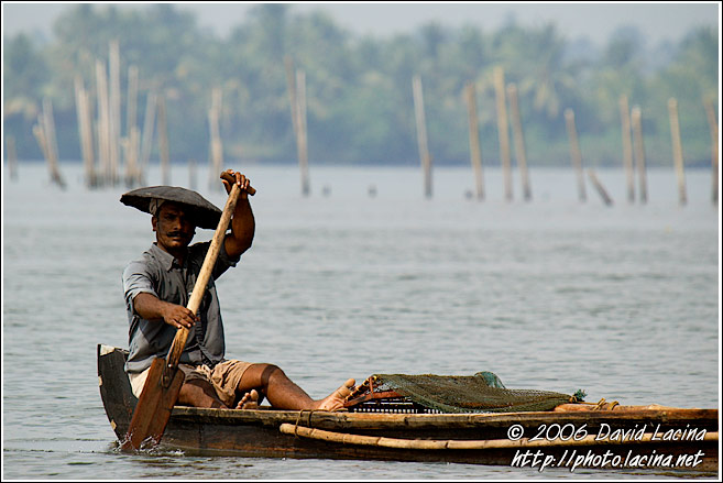Resident Of Backwaters - Backwaters, South India