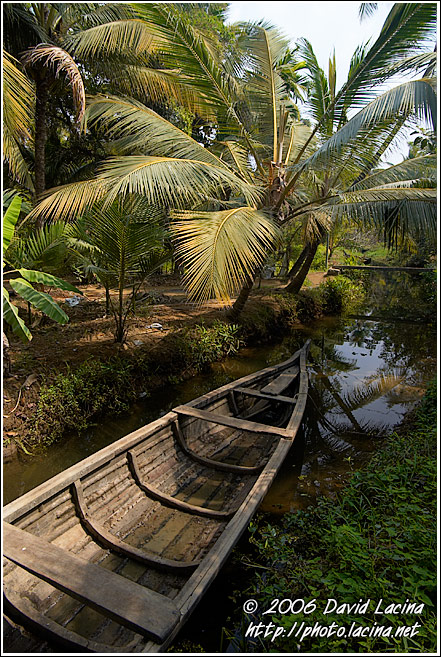 Small Channels Of Backwaters - Backwaters, South India