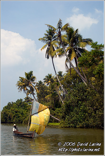 Backwaters And A Typical Boat - Backwaters, South India