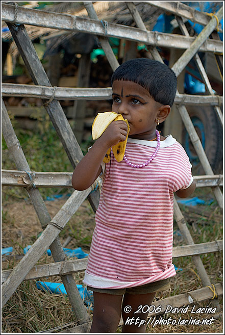 Local Kid - Backwaters, South India