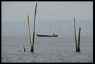 Morning Life On Backwaters, Backwaters, South India