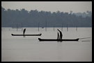 Morning Life On Backwaters, Backwaters, South India