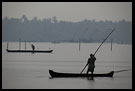 Morning Life On Backwaters, Backwaters, South India