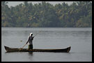 Morning Life On Backwaters, Backwaters, South India