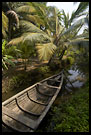 Small Channels Of Backwaters, Backwaters, South India