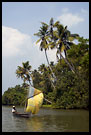 Backwaters And A Typical Boat, Backwaters, South India