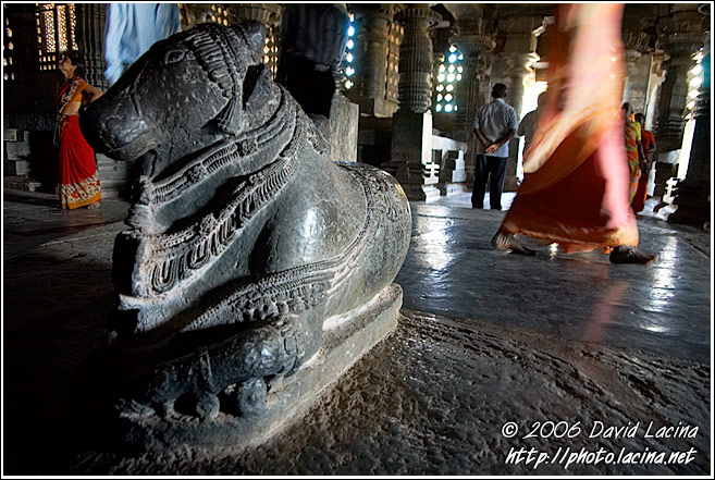 Interior Of Hoysaleswara Temple - Belur And Halebid, South India