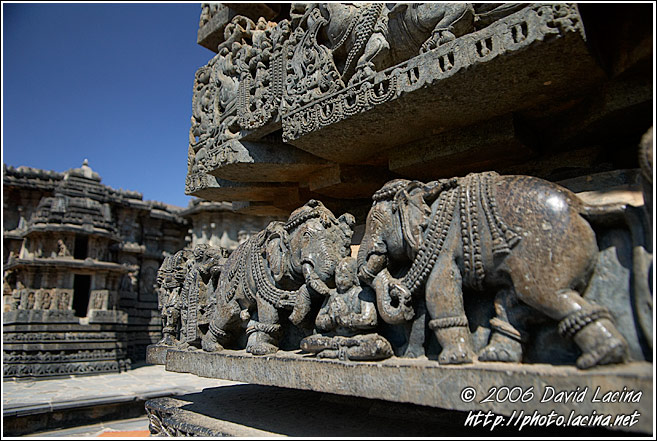 Detail Of Elephant Carving On Hoysaleswara Temple - Belur And Halebid, South India