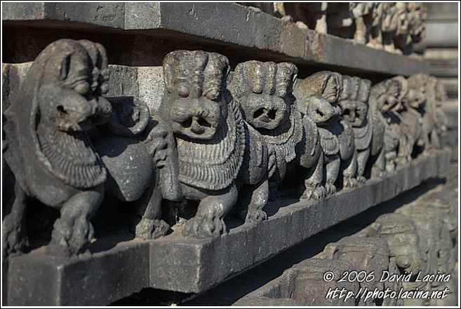 Tiger - The Royal Emblem Of Hoysala Dynasty - Belur And Halebid, South India