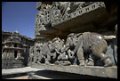Detail Of Elephant Carving On Hoysaleswara Temple, Belur And Halebid, South India