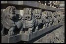 Tiger - The Royal Emblem Of Hoysala Dynasty, Belur And Halebid, South India