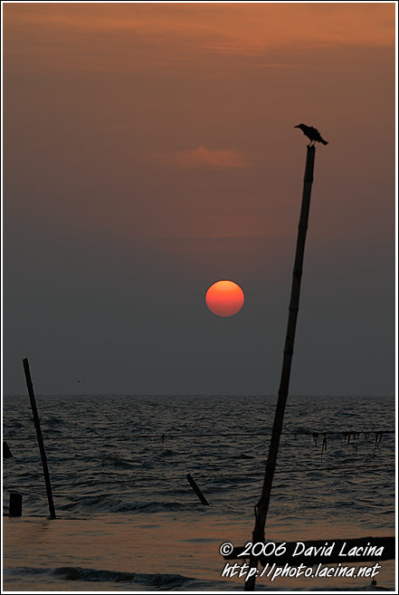 Sunset In Cochin - Cochin (Kochi), South India