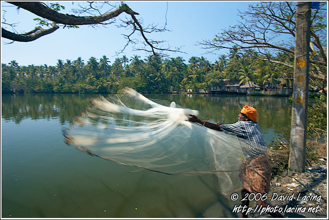 Fisherman Throwing Net - Cochin (Kochi), South India