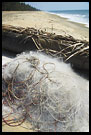 Fishing Net At Cherai Beach, Cochin (Kochi), South India