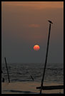 Sunset In Cochin, Cochin (Kochi), South India