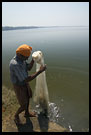 Fisherman And The Net, Cochin (Kochi), South India