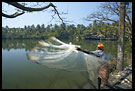 Fisherman Throwing Net, Cochin (Kochi), South India
