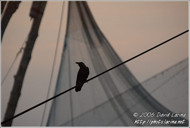 Chinese Net (Cheena Vala) - Cochin - Chinese Nets (Cheena vala), South India