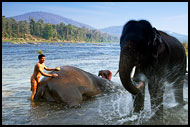 South India - Elephant center
