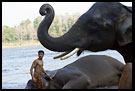 Elephant And Man, Elephant Training Center, South India